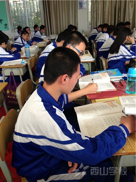 魏大炜 学霸班级的大头 学习认真 自习中