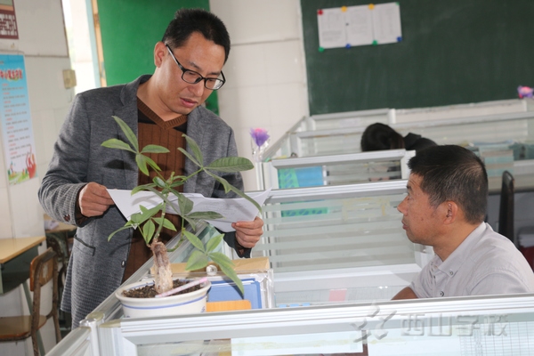 小学部副校长高春贵和六年段副段长林良俊探讨试卷学校办公室副主任陈